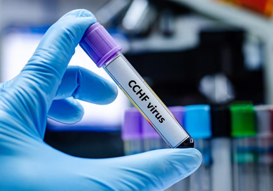 Uzbuna u svetu: Ako ne nađemo rešenje, masovno ćemo umirati