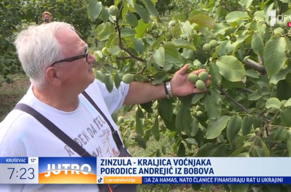 Voće koje je odlično za zdravlje, a malo ko zna da se gaji u Srbiji VIDEO