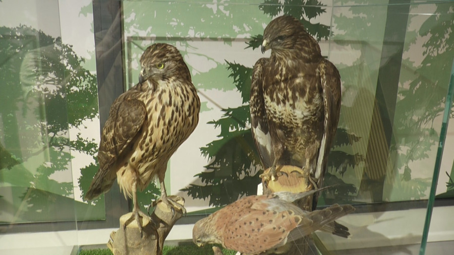 Tokom vikenda ulaz ovde besplatan: Prilika da posetite banju u Srbiji FOTO