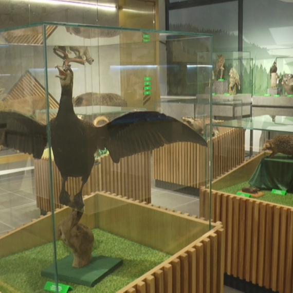 Tokom vikenda ulaz ovde besplatan: Prilika da posetite banju u Srbiji FOTO