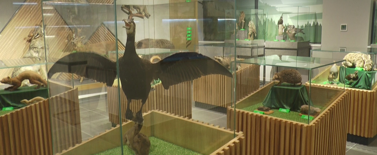 Tokom vikenda ulaz ovde besplatan: Prilika da posetite banju u Srbiji FOTO