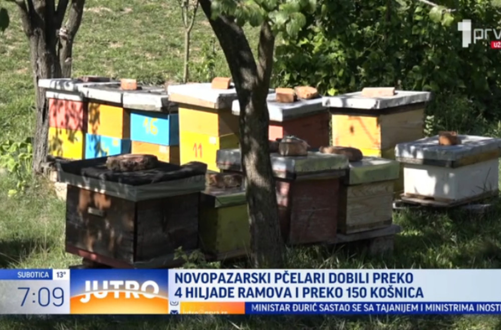 Velika pomoć za pčelare u Novom Pazaru: Evo šta su dobili VIDEO