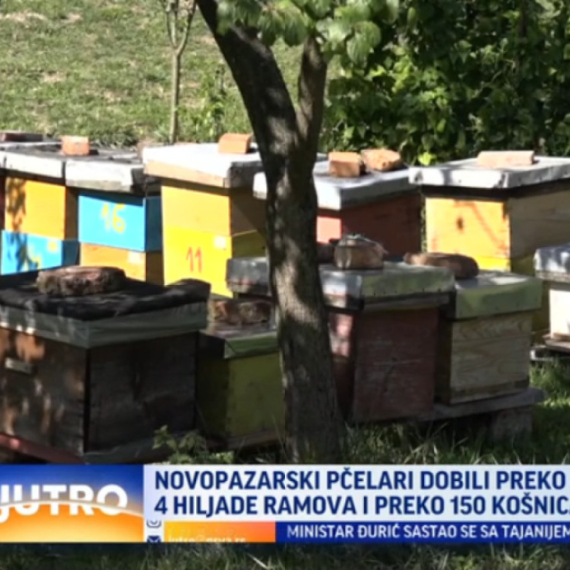 Velika pomoć za pčelare u Novom Pazaru: Evo šta su dobili VIDEO