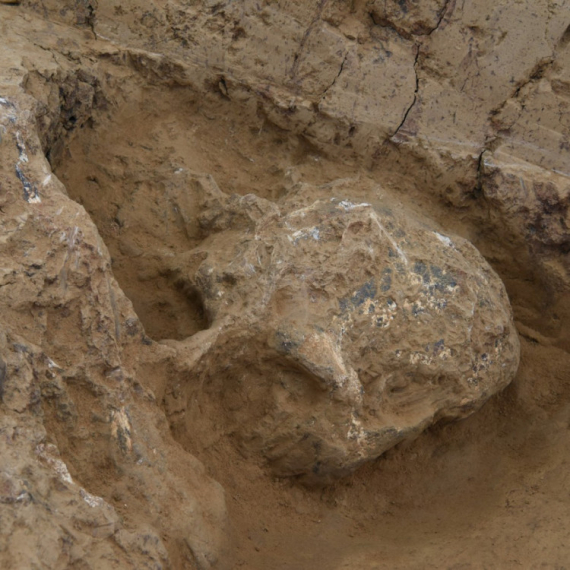 Milion godina stara lobanja menja razumevanje evolucije čoveka FOTO