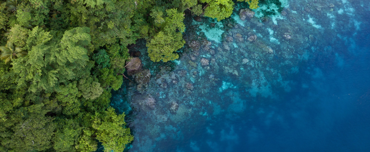Ukinute vize za Srbe do ove zemlje