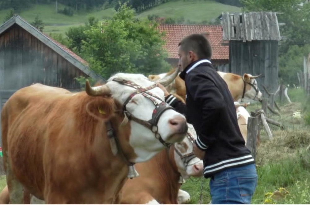 "Svako ko hoće da se vrati u svoje selo dobija put do svog domaćinstva"