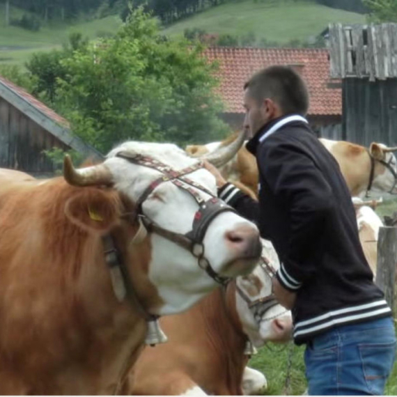 "Svako ko hoće da se vrati u svoje selo dobija put do svog domaćinstva"