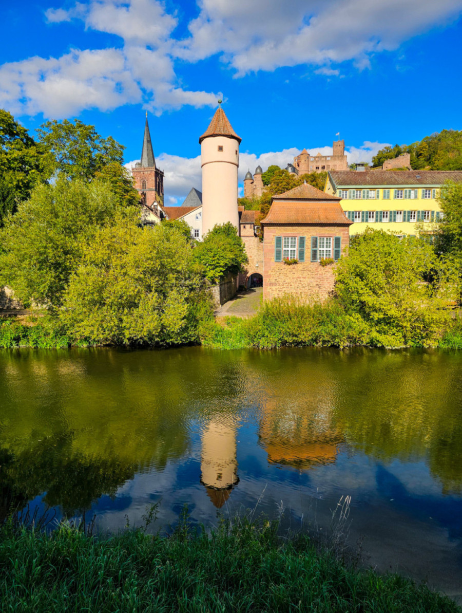 Romantični put kroz Nemačku: Nestvarnih 460 km, svuda samo dvorci, šume, vinogradi i kuće iz bajke FOTO