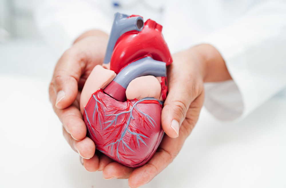 "Poplava kardivaskularnih oboljenja u Srbiji": Kardiolog upozorava koje preglede obavezno da obavite VIDEO