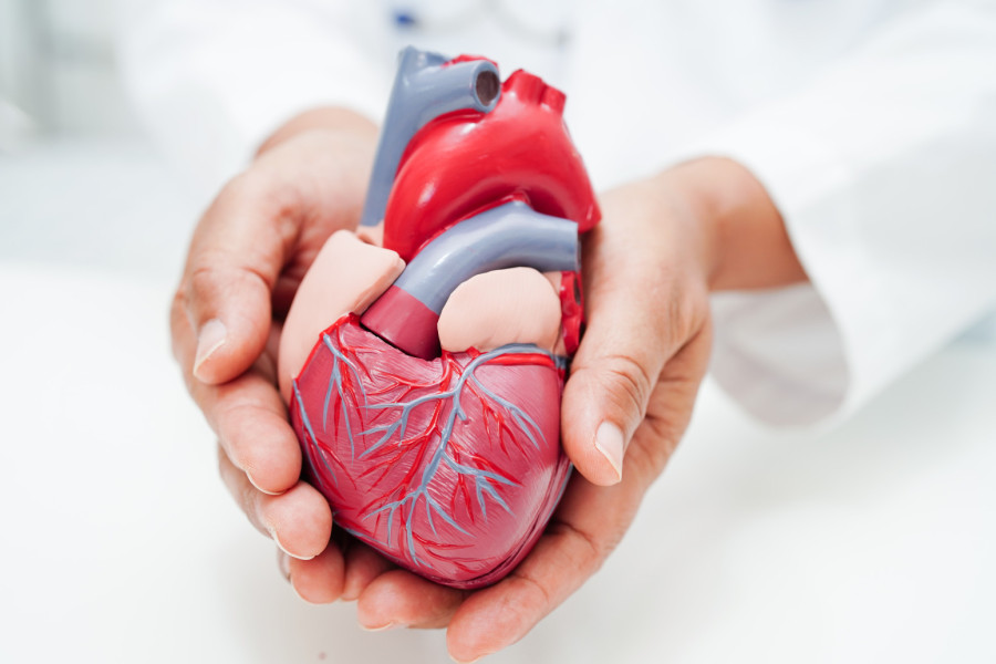Šta je EKG i kako se pripremiti za pregled?