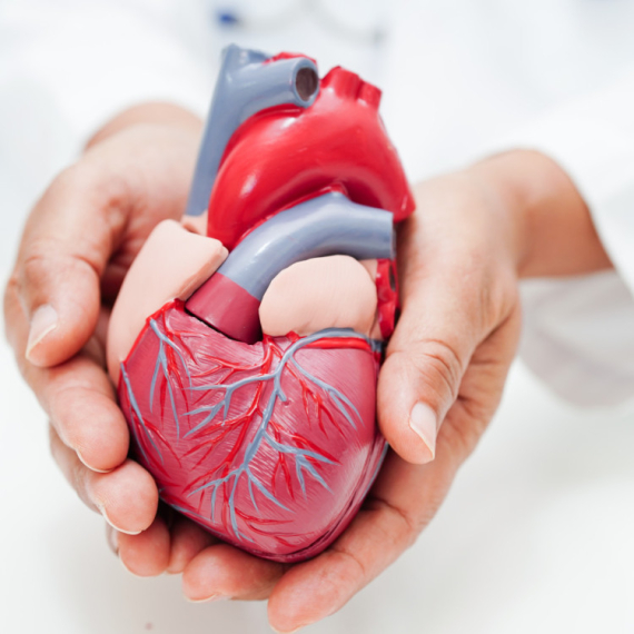 "Poplava kardivaskularnih oboljenja u Srbiji": Kardiolog upozorava koje preglede obavezno da obavite VIDEO