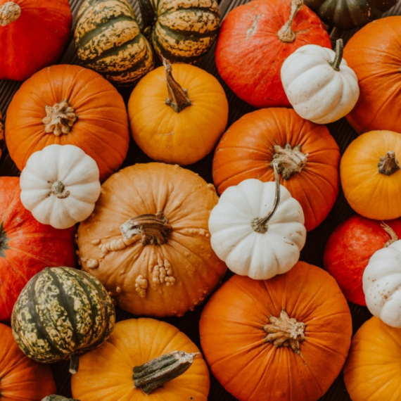 Ova namirnica je preplavila pijace, a jako je lekovita: Leči depresiju, poboljšava vid