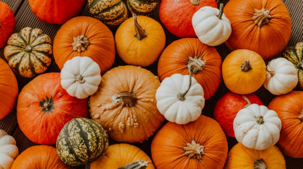 Ova namirnica je preplavila pijace, a jako je lekovita: Leči depresiju, poboljšava vid