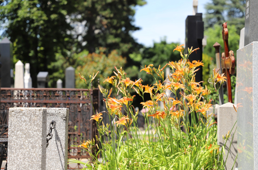 Koje su obaveze korisnika grobnih mesta? VIDEO