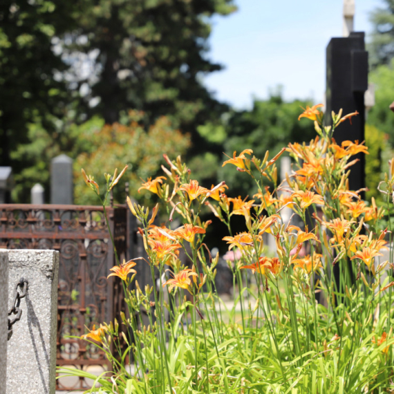 Koje su obaveze korisnika grobnih mesta? VIDEO