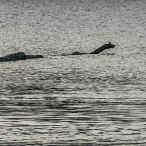 Novi snimak čudovišta iz Loh Nesa: "Veliko je pet, široko metar i po" FOTO/VIDEO