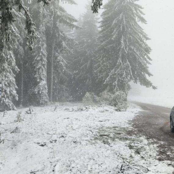Meštani sela na Zlataru navikli na blage zime; Danas tamo čitav dan pada sneg FOTO