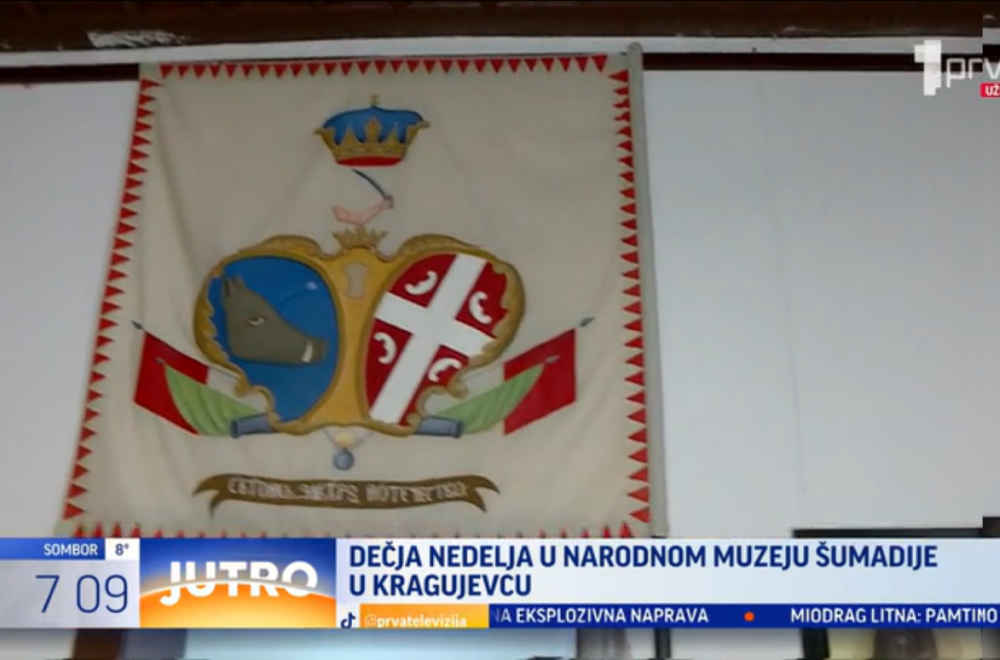 Ovako Kragujevčani organizuju "Dečiju nedelju" VIDEO