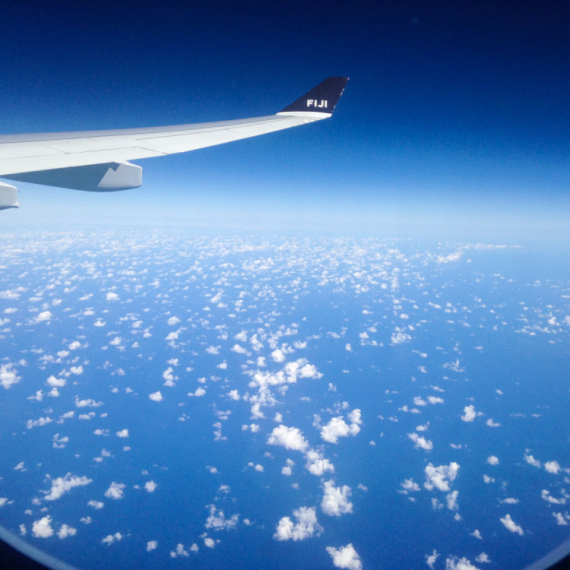 Haos na letu: Avion se sudario sa pticama