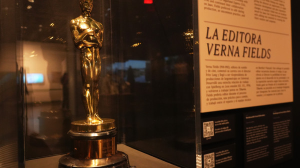 Najveće ostrvo na planeti ove godine ima svog kandidata za Oskara VIDEO