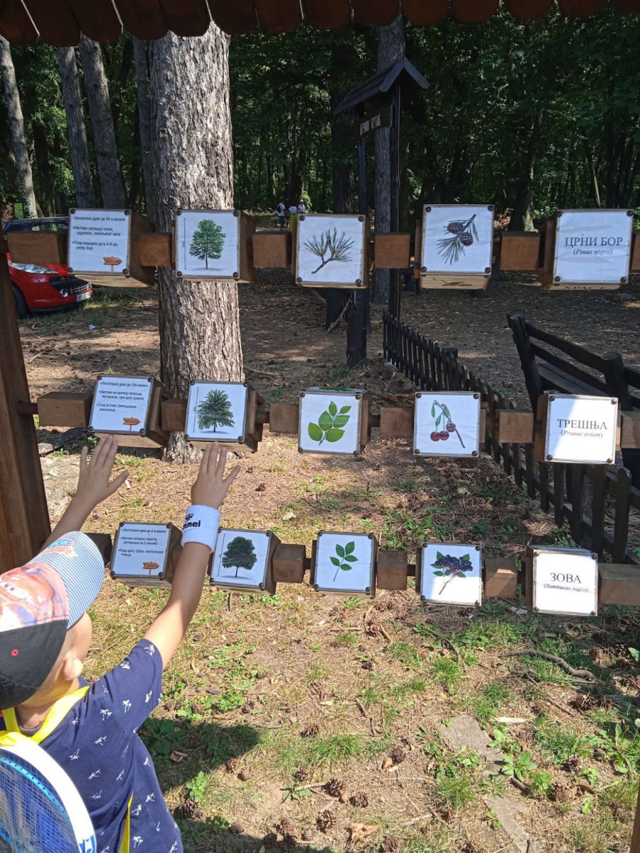 Ovo mesto u Vojvodini postaje novi Zlatibor? Niču apartmani i vile, ali postoji i veliki problem