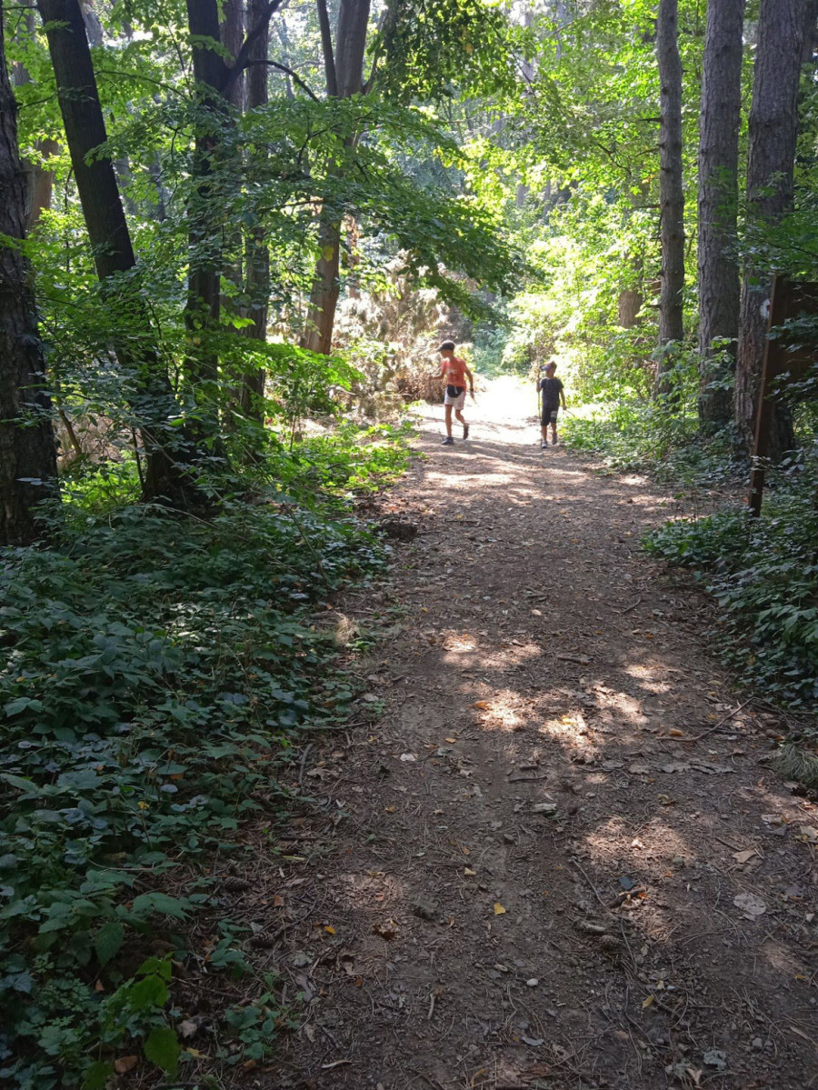 Ovo mesto u Vojvodini postaje novi Zlatibor? Niču apartmani i vile, ali postoji i veliki problem