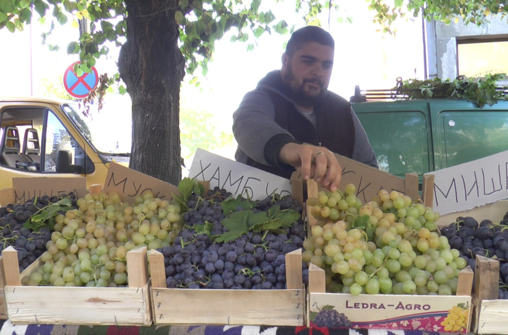 Sve je spremno za još jednu Oplenačku berbu u Topoli: Manifestacija koja živi duže od šest decenija