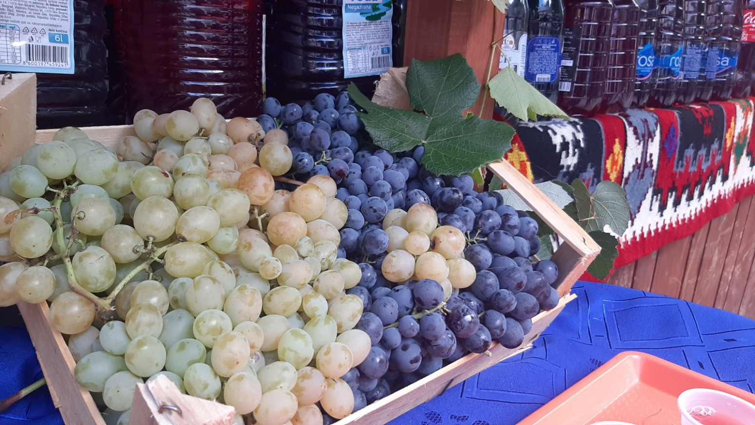 Srpska Toskana ovog vikenda slavi: Na hiljade ljudi dolazi u Topolu FOTO