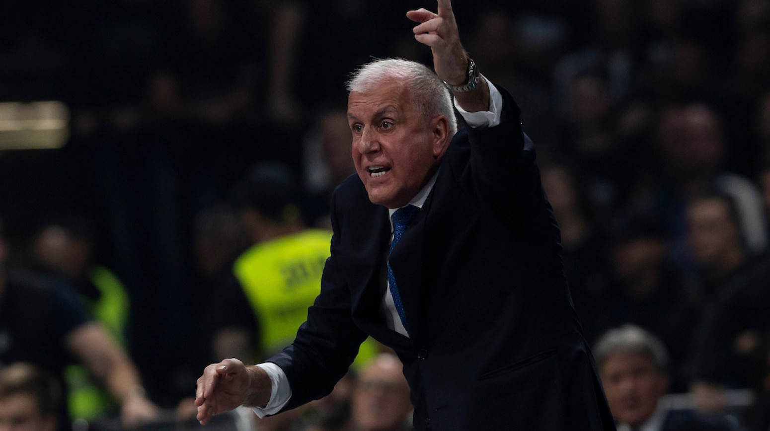 Obradović: "To ćemo videti na kraju sezone"