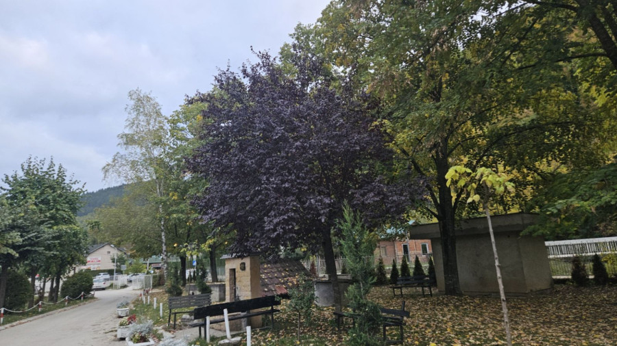 Za ovu banju u Srbiji mnogi još nisu čuli, a ima 14 termalnih izvora FOTO