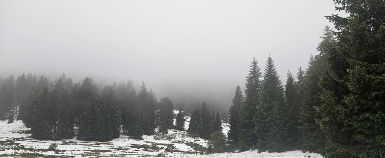Kopaonik se zabeleo pred raspust: Kapaciteti popunjeni, a ove informacije sve zanimaju VIDEO