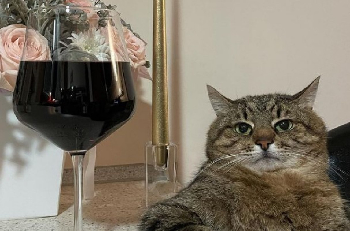 Nešto novo na tržištu... Živeli!