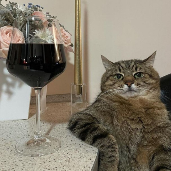 Nešto novo na tržištu... Živeli!