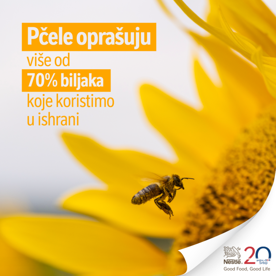 Mladi u misiji očuvanja pčela i prirode