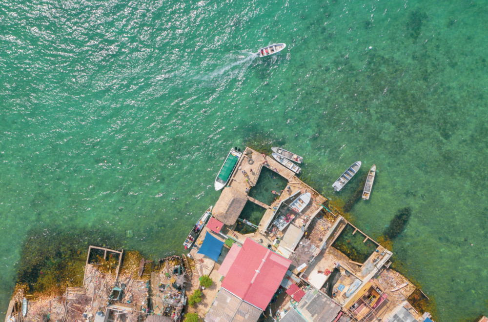 Horor na turističkoj atrakciji: Ajkula brutalno napala dečaka u improvizovanom bazenu