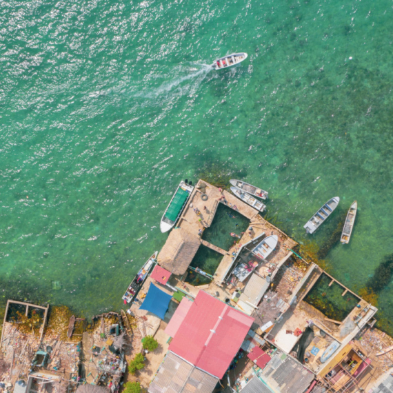 Horor na turističkoj atrakciji: Ajkula brutalno napala dečaka u improvizovanom bazenu
