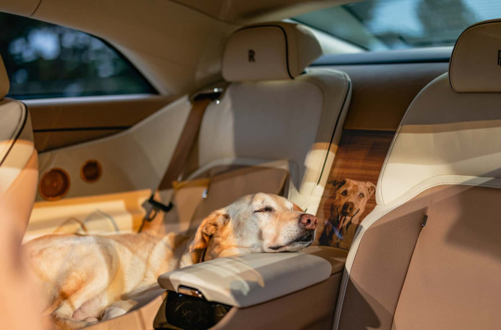 Rolls-Royce napravio auto u čast psa FOTO