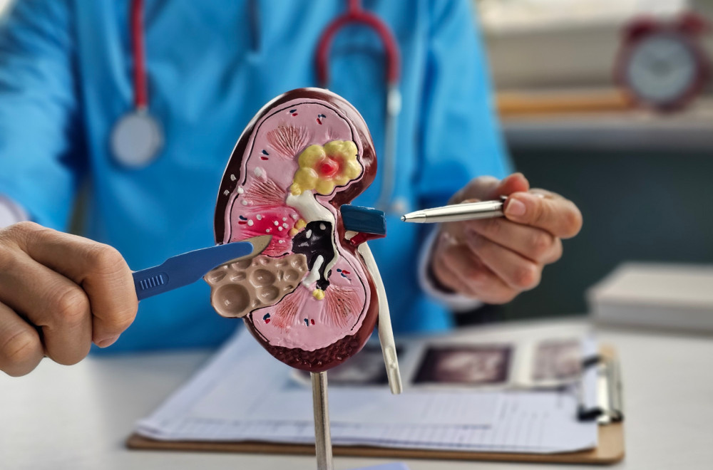 Naučnici stvorili "univerzalni bubreg": Moći će da ga prihvati svaki paijent