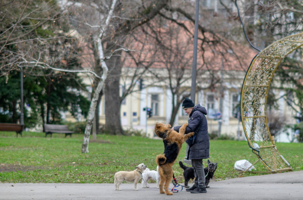 Zašto ljudi po parku šetaju nevidljive pse? VIDEO