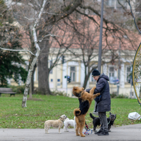 Zašto ljudi po parku šetaju nevidljive pse? VIDEO