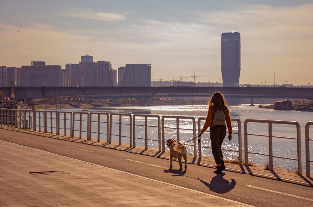 Beograd u očima pasa: Najlepša mesta za šetnju sa kućnim ljubimcima