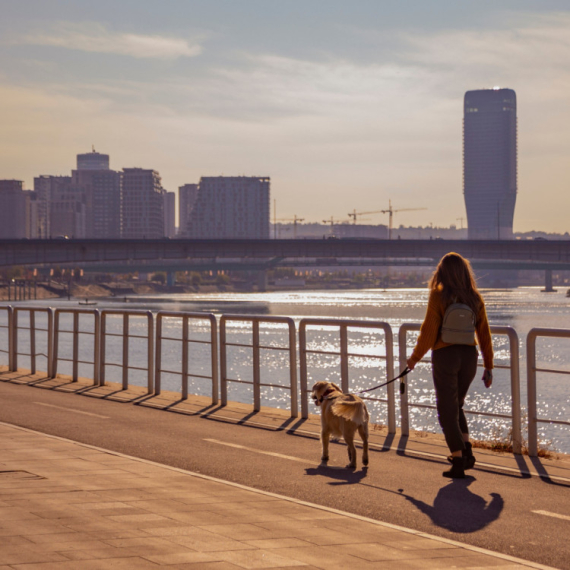 Beograd u očima pasa: Najlepša mesta za šetnju sa kućnim ljubimcima