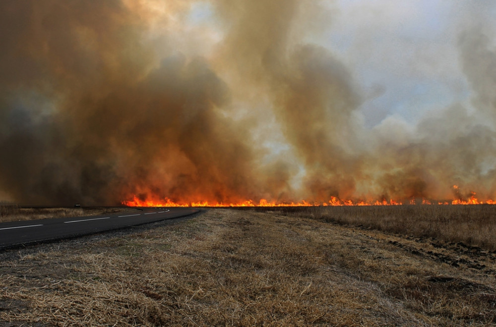 Vozači, oprez: Zbog požara smanjena vidljivost na auto-putu između Novog Sada i Siriga FOTO/VIDEO