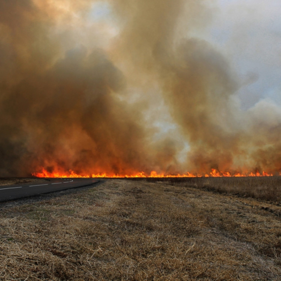 Vozači, oprez: Zbog požara smanjena vidljivost na auto-putu između Novog Sada i Siriga FOTO/VIDEO