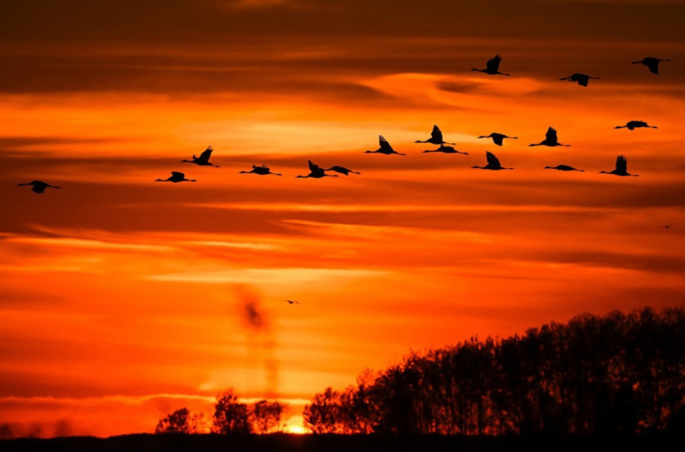 Totalni preokret: Natprosečno toplo vreme u Srbiji – evo od kada FOTO