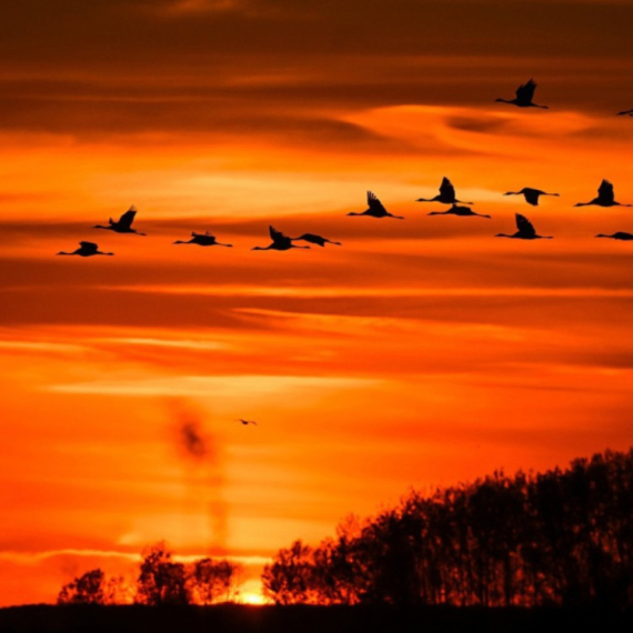 Totalni preokret: Natprosečno toplo vreme u Srbiji – evo od kada FOTO