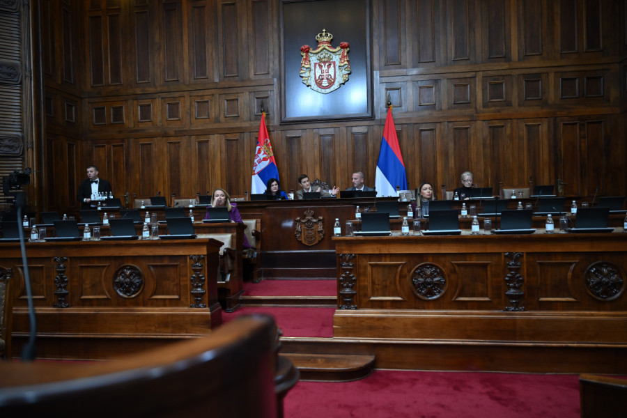 Brnabić odbrusila Mariniki: U sledećoj rezoluciji osudite i pčele ubice; Rasprava zbog zvučnog topa i EP VIDEO