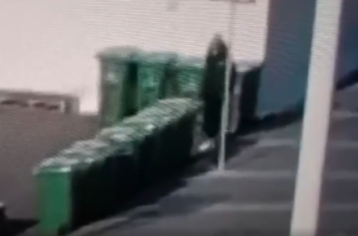 Evo kako je blokader upucao običnog čoveka; Objavljen snimak užasa ispred Pionirskog parka VIDEO