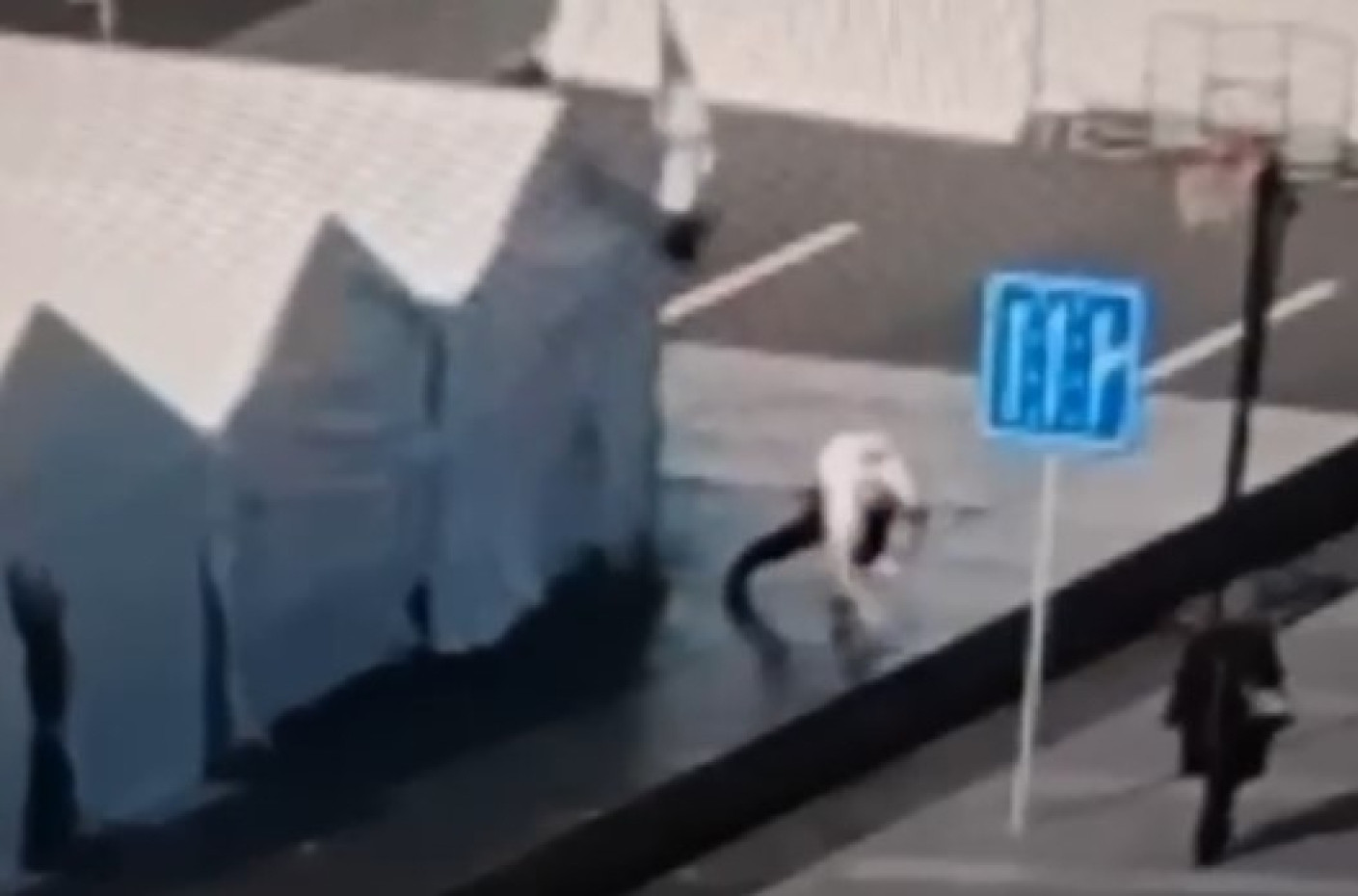 Dačić: Desio se brutalan napad; Napadač kod Skupštine namerno došao da izazove nasilje, motiv politički