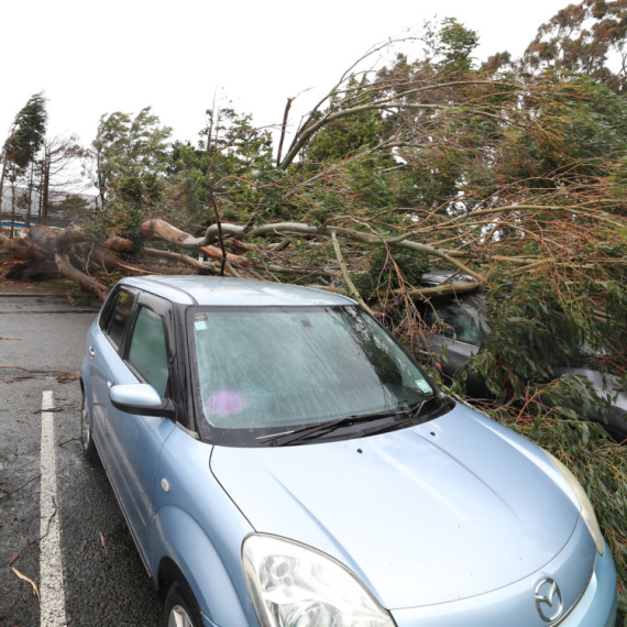 Apokalipsa na Novom Zelandu: Snažna oluja ruši sve pred sobom FOTO/VIDEO